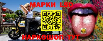 хмурый Малгобек